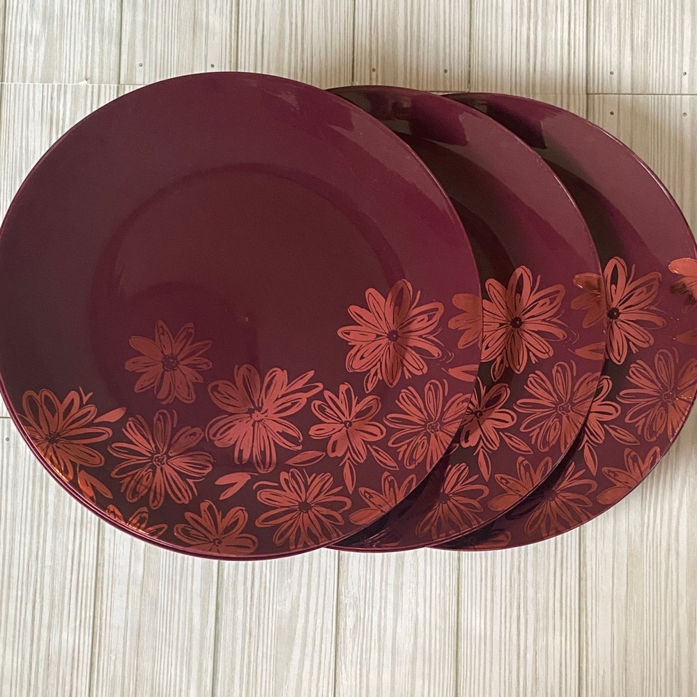 RACHEL ZOE Set of 12 Burgundy Disposable Dinner Plates
